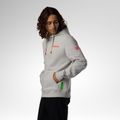 Herrenpullover Rossignol Hero Hoodie light grey 4