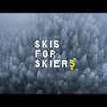 Ski Fischer The Curv DTX MT + RSX Z12 PR schwarz A8221 T3421 13