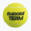 Tennis Bälle Babolat Team 4 Stk. yellow 3