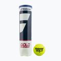 BABOLAT Gold Championship Tennisbälle 4 Stück gelb 502082