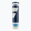BABOLAT Team All Court Tennisbälle 4 Stück gelb 502081 2