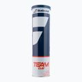 BABOLAT Team Clay Tennisbälle 4 Stück gelb 502080 2