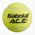 Babolat Ace Padelbälle 3 Stück gelb 501104 2