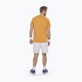 Shirt Herren Babolat Exercise Big Flag autumn glory 3