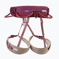 Kletter-Sicherheitsgurt Petzl Red Corax 2