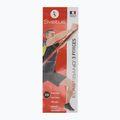 Poster Sveltus Elastiband 3 Strengths colorfull