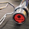 Sveltus Olympic Trap Bar + 2 Klemmen 5