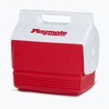 Igloo Playmate Mini 3 l roter Stern Touristenkühlschrank 2