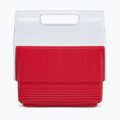 Igloo Playmate Mini 3 l roter Stern Touristenkühlschrank 3