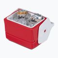 Igloo Playmate Mini 3 l roter Stern Touristenkühlschrank 7