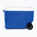 Camping-Kühlbox Igloo 38 QT Wheelie Cool Hard Sided 36 l majestic blue 2
