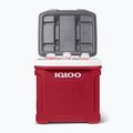 Igloo Latitude 60 Roller 56 l Industrierot/ Meteorit Touring-Kühlschrank 14