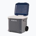 Igloo Maxcold Latitude 62 Qt Roller 59 l Karbonit/Ägäis Wanderkühlschrank 13