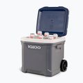 Igloo Maxcold Latitude 62 Qt Roller 59 l Karbonit/Ägäis Wanderkühlschrank 16
