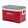 Camping-Kühlbox Igloo Latitude 52 49 l industrial red 4