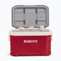 Camping-Kühlbox Igloo Latitude 52 49 l industrial red 12