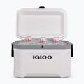 Igloo Latitude Marine Ultra 54 51 l weiß/moonscape grau Touring-Kühlschrank 10