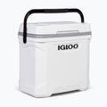 Igloo Latitude Marine Ultra 30 28 l weiß/moonscape grau Touring-Kühlschrank 4