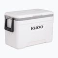 Igloo Marine 25 Qt 23 l weiß/ mondscheingrau Touring-Kühlschrank 2