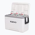 Igloo Marine 25 Qt 23 l weiß/ mondscheingrau Touring-Kühlschrank 8