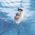 Arena Elite Schwimmen Hand Paddel grün 95250/65 4