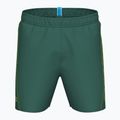 Badeshorts Herren arena Fundamentals Arena Logo Boxer R artic lime/mangrove 3