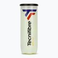 Tennisbälle Tecnifibre Club Pet 3 Stk.