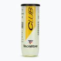 Tennisbälle Tecnifibre Club Pet 3 Stk. 2