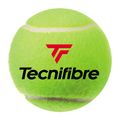 Tecnifibre X-One Tennisbälle 4 Stück gelb 60XONE364N