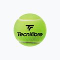 Tecnifibre Club Pet Tennisbälle 4 Stück gelb 60CLUB364N 2