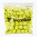 Tecnifibre Stage 1 Tennisbälle 144 Stück. 2