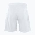 Herren-Tennisshorts Tecnifibre Stretch weiß 23STRE 2