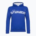 Tecnifibre Herren Tennis Sweatshirt blau 21FLHO