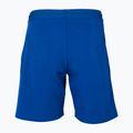 Herren-Tennisshorts Tecnifibre Stretch blau 23STRERO01 2