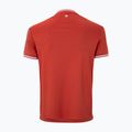 Herren-Tennisshirt Tecnifibre Team Tech terracotta 5