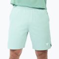 Herren-Tennisshorts Tecnifibre Team Stretch Short sage 2