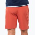 Herren-Tennisshorts Tecnifibre Team Stretch Short terracotta 2