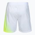 Herren-Tennisshorts Tecnifibre X-Loop white/yellow 6