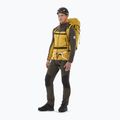 Sweatshrit Hoodie Herren Millet Fusion Grid safran/deep jungle 2