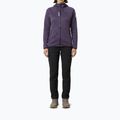 Damen-Trekkingsweatshirt Millet Lokka Hoodie III purple velvet 2