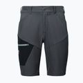 Herren-Shorts Millet Wanaka Stretch III tarmac 6