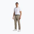 Herren-Trekkinghose Aulp Brady light khaki 2