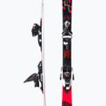 Abfahrtsski Rossignol Hero Elite ST TI K + NX12 5