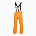 Skihose Herren Rossignol Ski sunburst 8