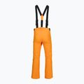 Skihose Herren Rossignol Ski sunburst 9