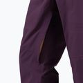 Skihose Herren Rossignol Evader mulberry 5