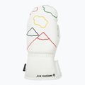 Skihandschuhe Damen Rossignol Sublim Lth Impr M white 8