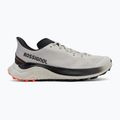 Laufschuhe Herren Rossignol Venosk light grey 2