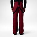Herren Skihose Rossignol Insulated Ski tibetan red 3