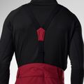 Herren Skihose Rossignol Insulated Ski tibetan red 7